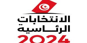 حوالي 300 شبهة جريمة انتخابية الخليج برس