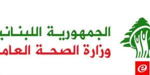 الصحة: 4 شهداء و14 جريحا في حصيلة إولية لغارة العدو الإسرائيلي على برجا الخليج برس