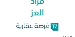 17 فرص عقارية .. مزاد عقاري جديد من شركة ربيز العقارية في مكة المكرمة - تدوينة الإخباري