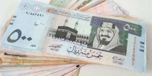 سعر الريال السعودي اليوم الثلاثاء 15-10-2024 - الخليج برس