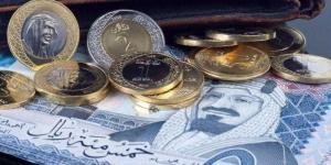 سعر الريال السعودي أمام الجنيه اليوم الثلاثاء - الخليج برس