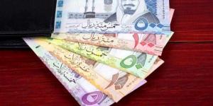 سعر الريال السعودي أمام الجنيه اليوم الأربعاء - الخليج برس