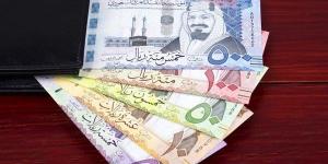 سعر الريال السعودى اليوم السبت 19 سعر الريال السعودى فى مصر مقابل الجنيه المصرى