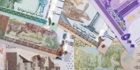 بنهاية التعاملات .. سعر الجنيه السوداني مقابل الريال السعودي اليوم الإثنين 14 أكتوبر 2024 - الخليج برس