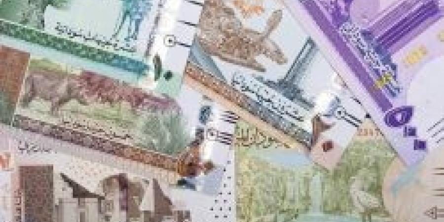 بلحظات الختام .. سعر الجنيه السوداني مقابل الريال السعودي اليوم السبت 12 أكتوبر 2024 - الخليج برس