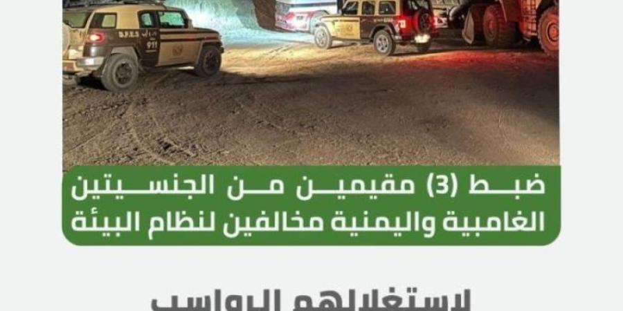 "الأمن البيئي" بالمدينة المنورة يضبط (3) مقيمين لاستغلالهم الرواسب الخليج برس