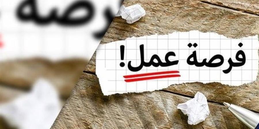 فرص عمل متاحة للمصريين في البوسنة والهرسك.. موعد المقابلات الشخصية للمتقدمين