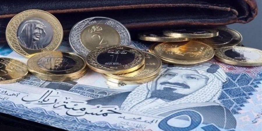 سعر الريال السعودي اليوم الثلاثاء 15 أكتوبر 2024 في مصر مقابل الجنيه المصري