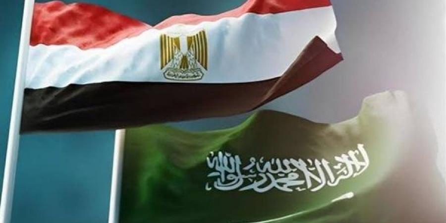 منيف الملافخ لـ"الدستور": العلاقات المصرية السعودية تشهد تطورا ونموا ملحوظا