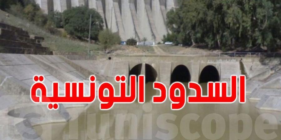 تونس: خبير يدعو الى تعويض السدود بوسائل أخرى - الخليج برس