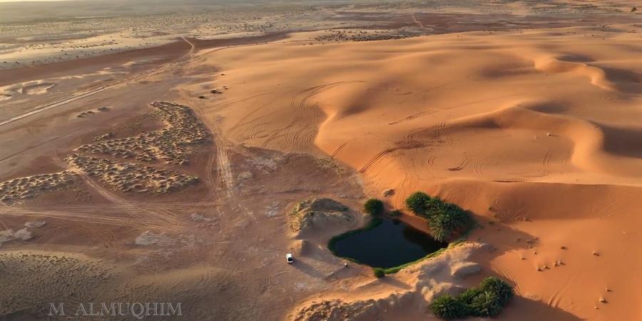 واحة في وسط الصحراء..مصور يلتقط مشهدًا آسرًا لبحيرة تتوسط الرمال الذهبية في السعودية - الخليج برس