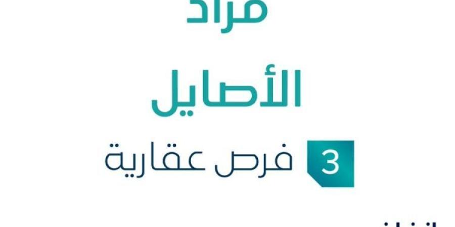 3 فرص عقارية .. مزاد عقاري جديد من شركة سعود الغسلان العقارية في حائل - الخليج برس