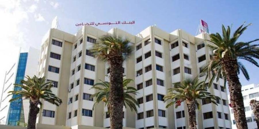 مدير عام بنك التضامن: البنك وفّر التمويل لفائدة 32 شركة أهلية بالشراكة مع وزارة التشغيل والتكوين المهني - الخليج برس