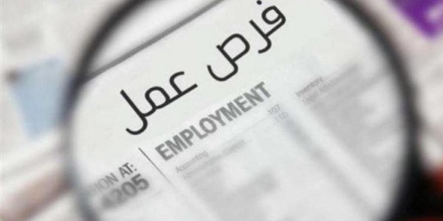 "الشباب والرياضة" تعلن عن وظائف وفرص عمل براتب يصل لـ30 ألف جنيه