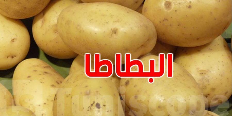 وزير التجارة يُعلّق على نقص البطاطا قي الأسواق - الخليج برس