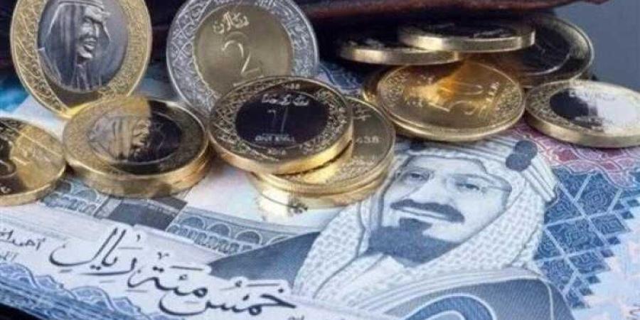 سعر الريال السعودي أمام الجنيه اليوم الأحد - الخليج برس