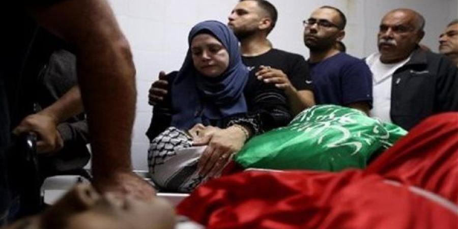 الصحة الفلسطينية: 87 شهيدًا ومفقودًا وأكثر من 40 مصابًا بمجزرة بيت لاهيا