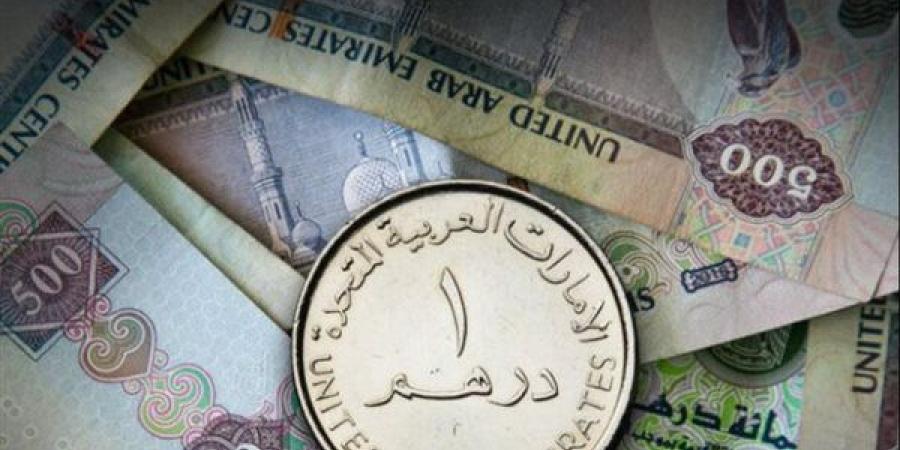 سعر الدرهم الإماراتي مقابل الجنيه المصري اليوم الجمعة 25 أكتوبر 2024