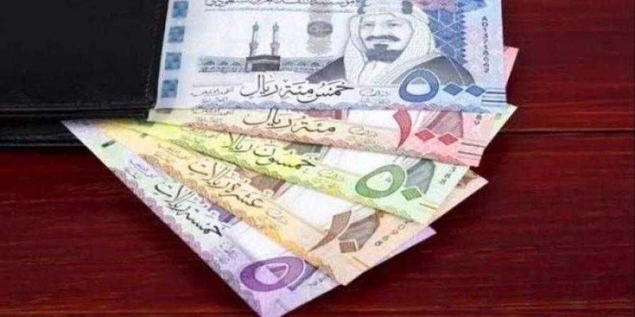 سعر الريال السعودي أمام الجنيه اليوم السبت - الخليج برس