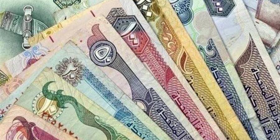 سعر الدرهم الإماراتي مقابل الجنيه اليوم الأحد 27 أكتوبر 2024