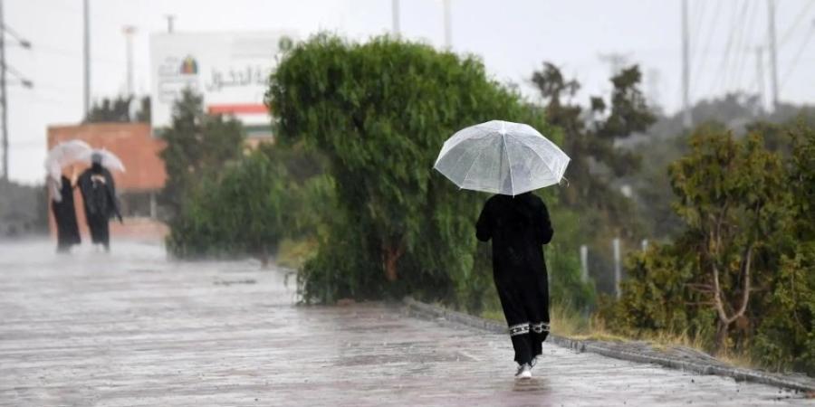 عاجل | 60 محطة رصد تسجل أمطارًا في 8 مناطق.. و"مكة المكرمة" أعلى معدل هطول