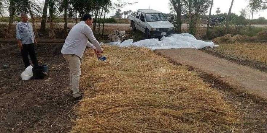 الزراعة تصدر تقرير متابعة منظومة جمع وتدوير قش الأرز - الخليج برس