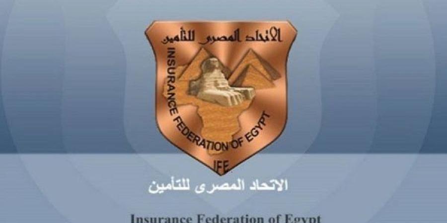 الاتحاد المصري للتأمين ينظم ورشة عمل بالتعاون مع الرقابة المالية وجامعة القاهرة